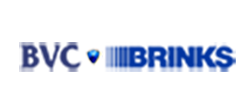 Owl Image